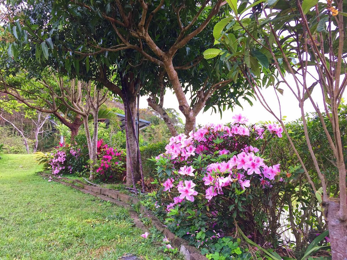 Jiu An Qing Jing Homestay Fuli Exterior foto